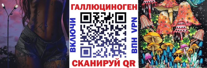 Галлюциногенные грибы Psilocybine cubensis  Балей 